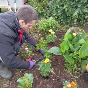 Désherbage et ornementation des 2 massifs